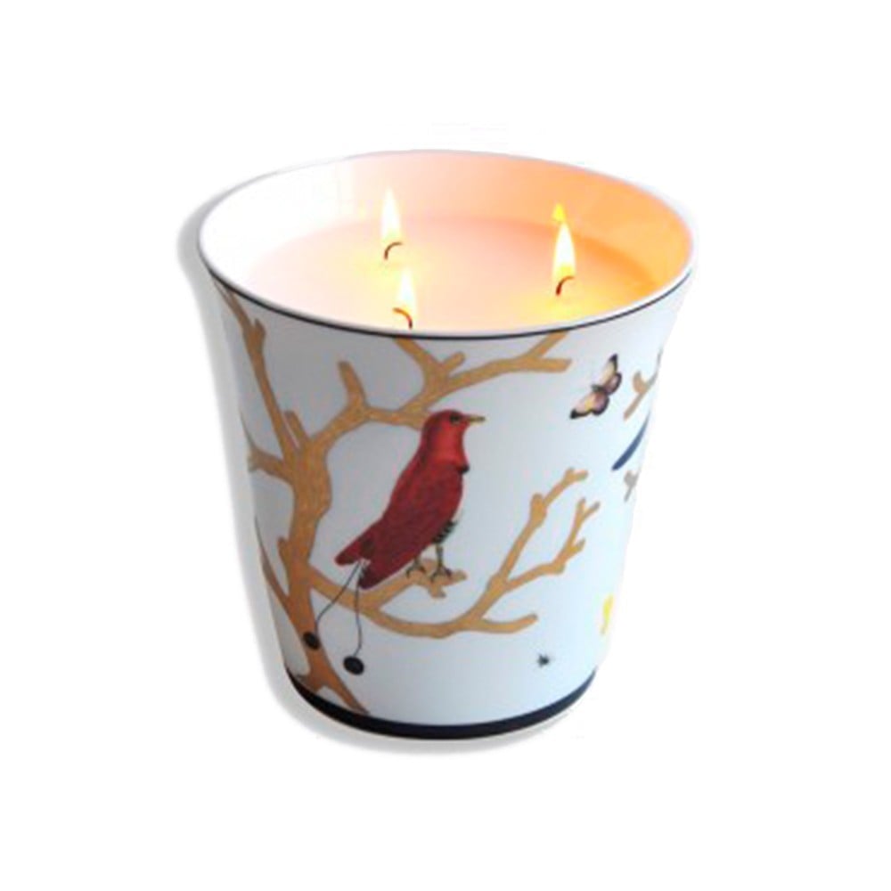 Aux Oiseaux - Pot À Bougie