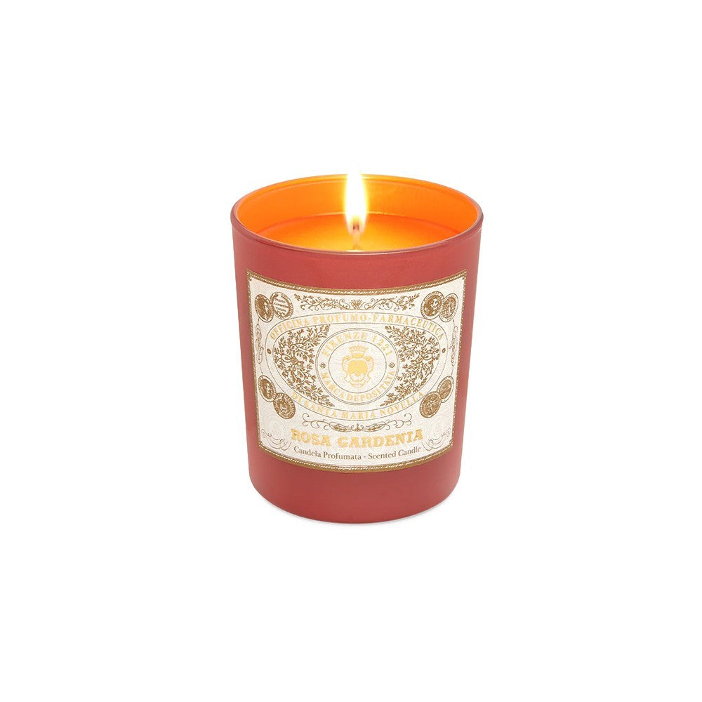 Rosa Gardenia