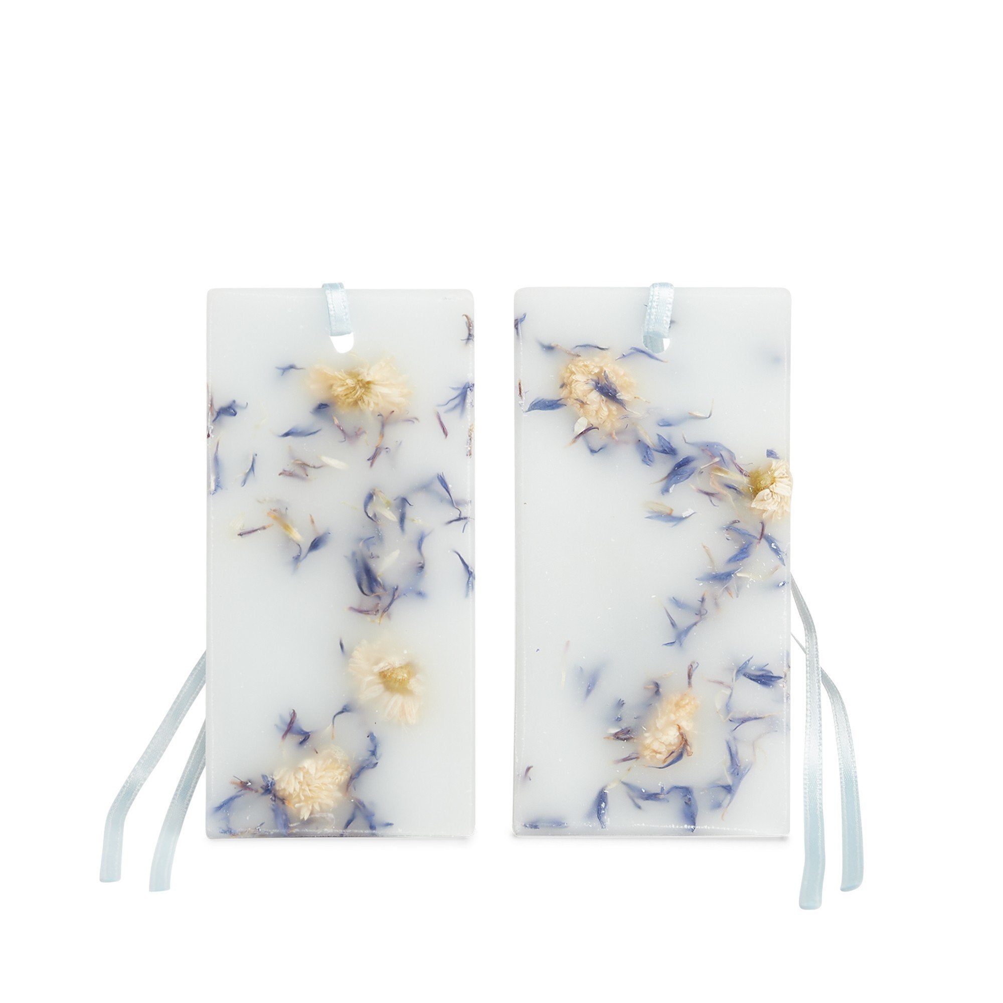 Tablettes De Cire Angeli Di Firenzi